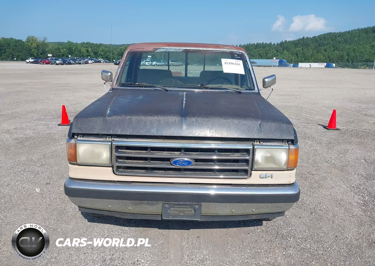 1991 Ford F150 VIN:1FTDF15N2MNA01850 - 6
