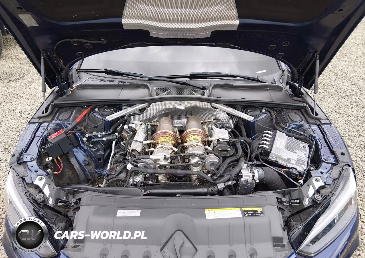 2019 Audi Rs 5 2.9T VIN:WUAPWAF50KA902413 - 10