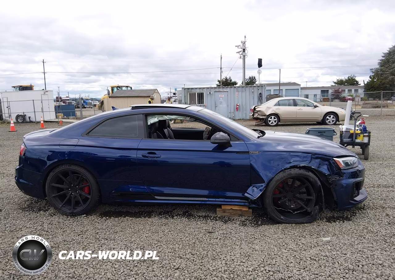 2019 Audi Rs 5 2.9T VIN:WUAPWAF50KA902413 - 13