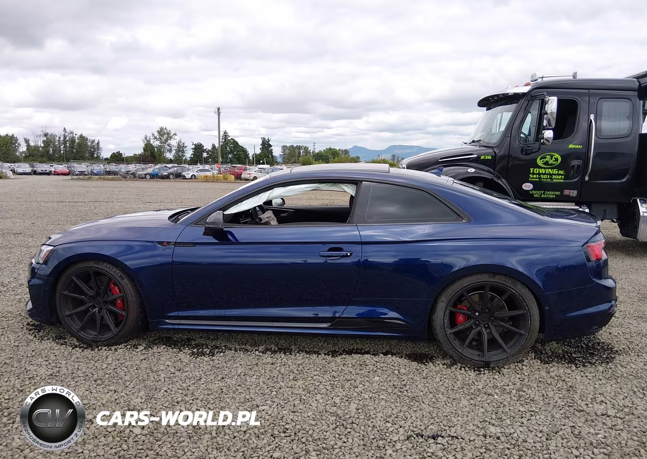 2019 Audi Rs 5 2.9T VIN:WUAPWAF50KA902413 - 14