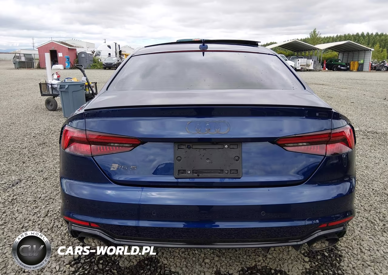 2019 Audi Rs 5 2.9T VIN:WUAPWAF50KA902413 - 16