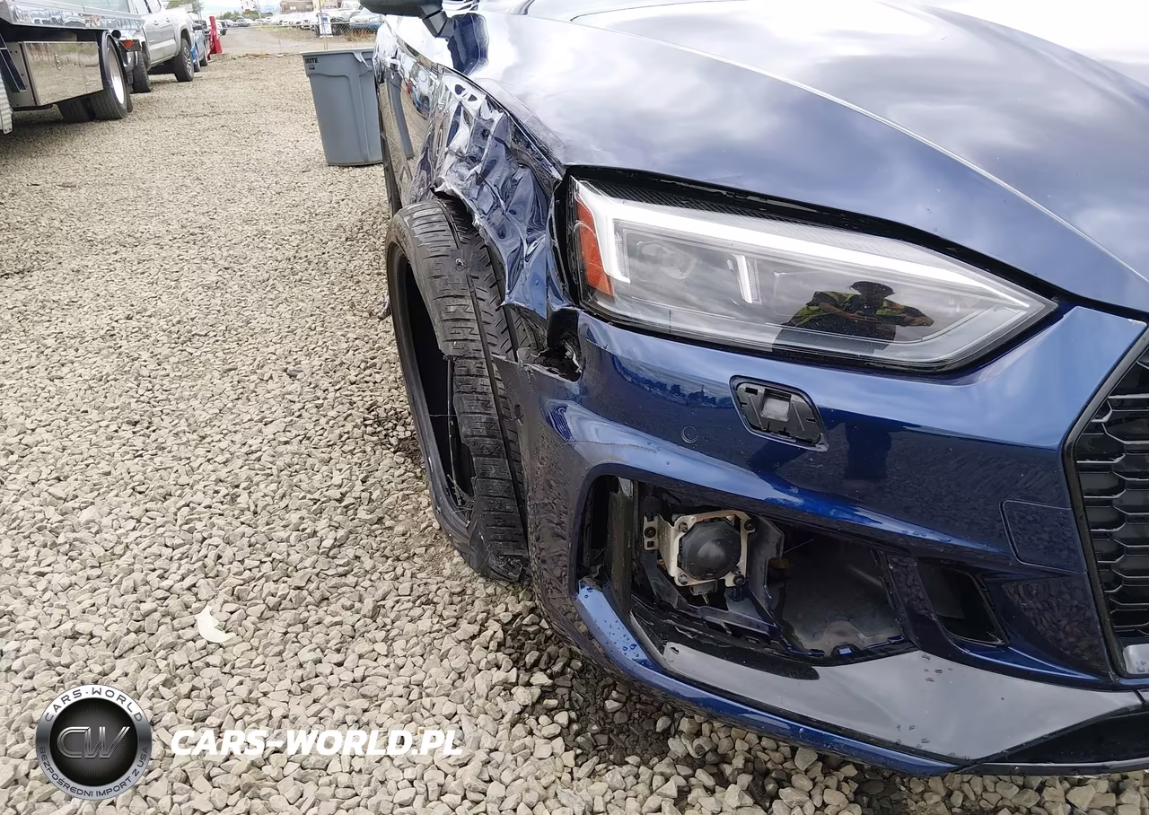 2019 Audi Rs 5 2.9T VIN:WUAPWAF50KA902413 - 17
