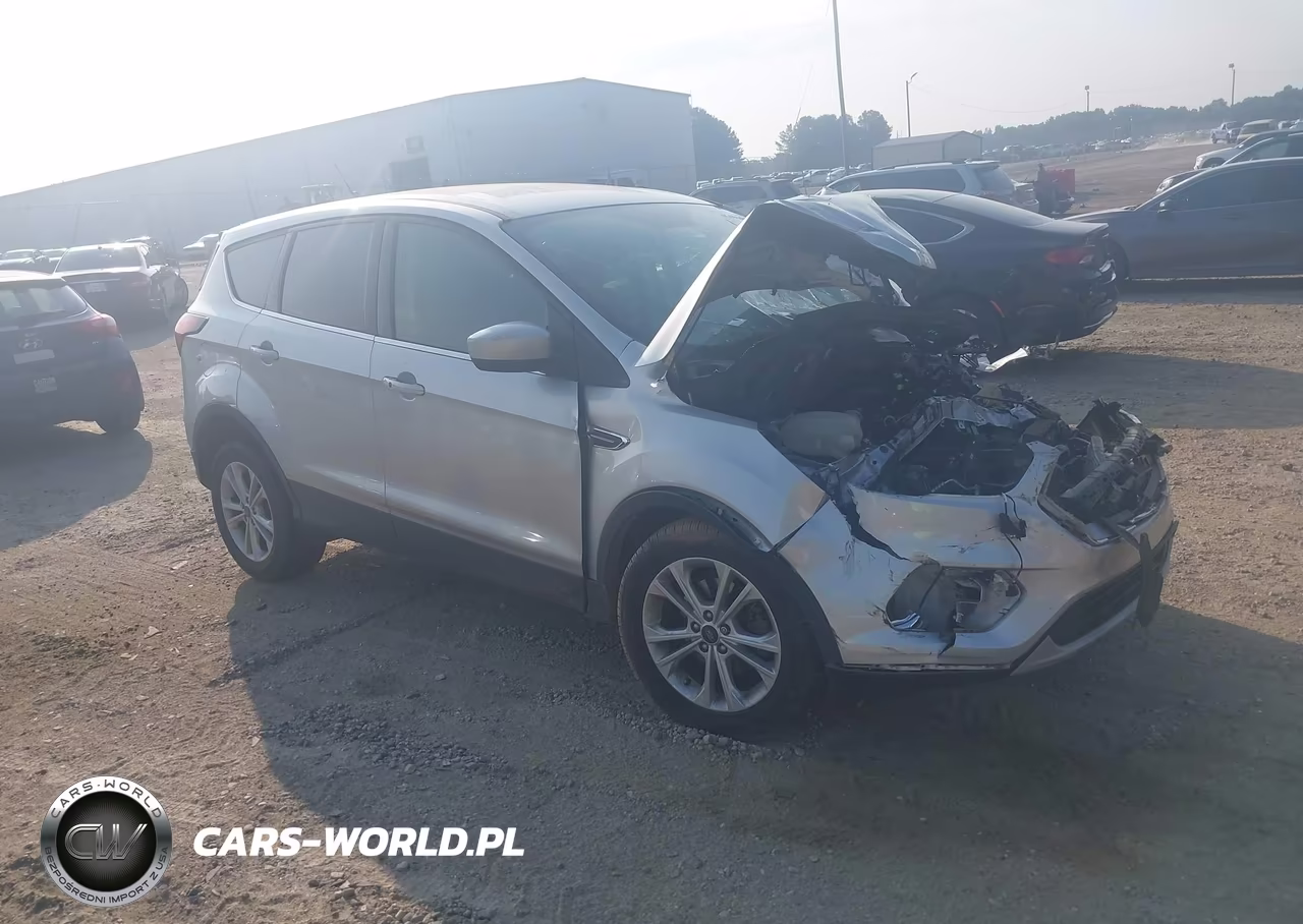2019 Ford Escape Se