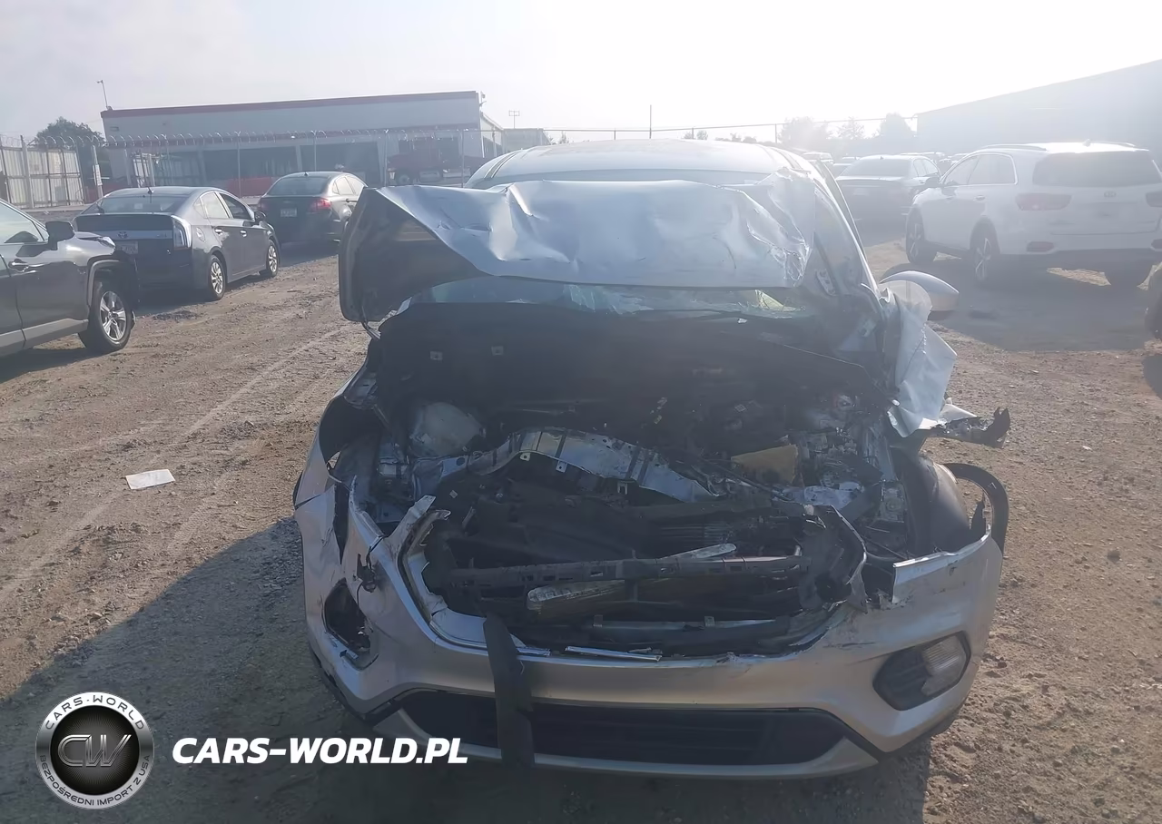 2019 Ford Escape Se VIN:1FMCU0GD1KUB93924 - 12