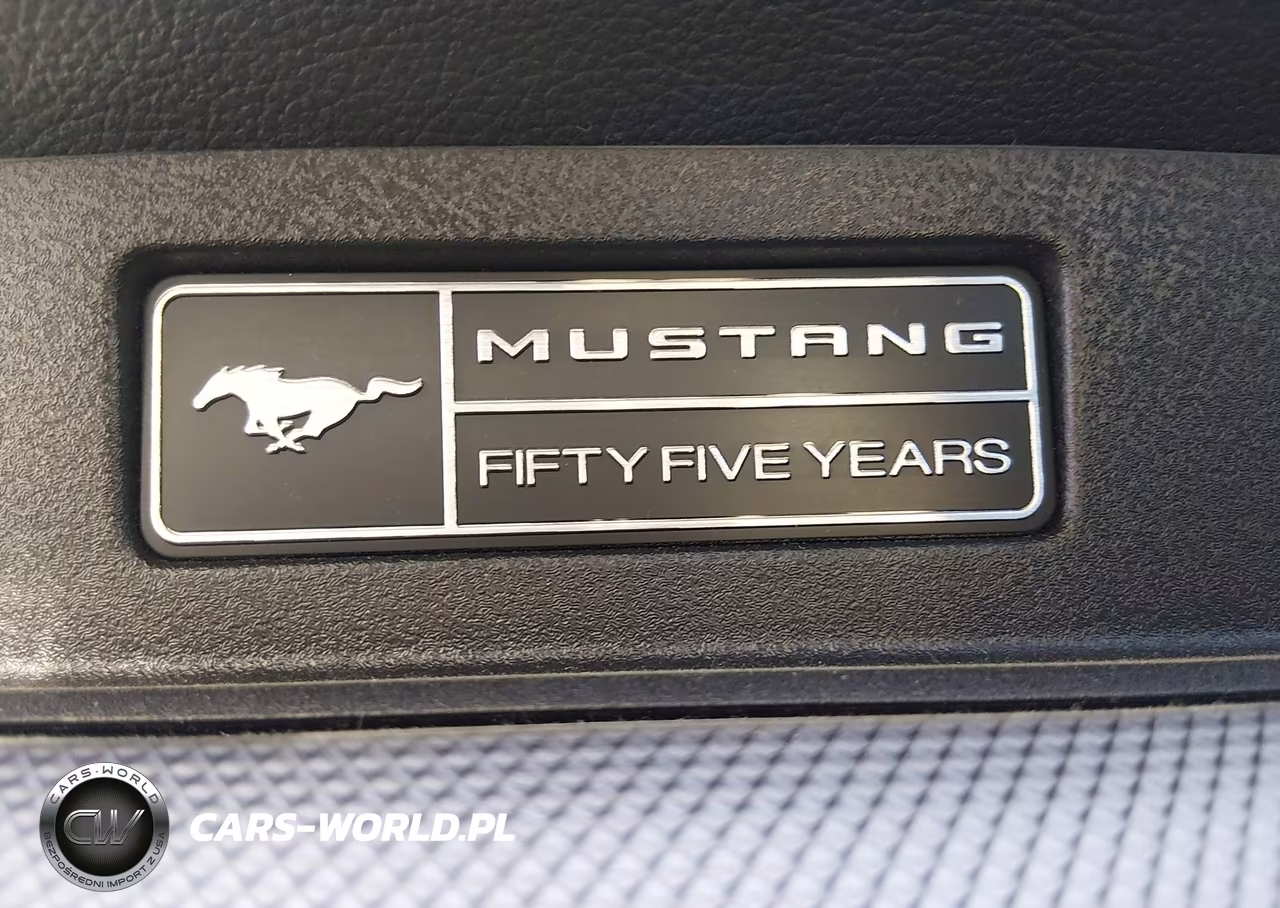 2020 Ford Mustang Gt Fastback VIN:1FA6P8CF2L5129472 - 12