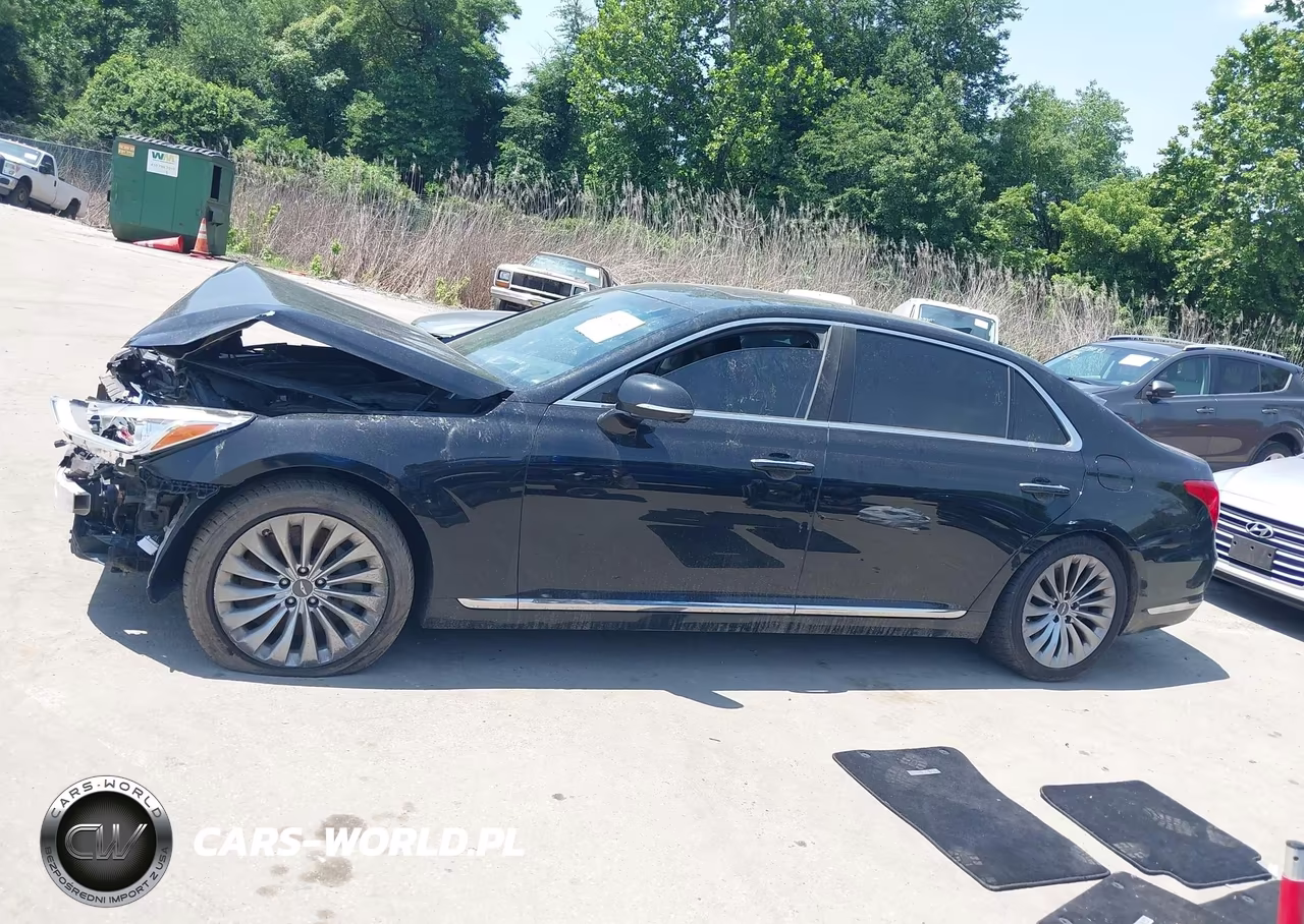 2017 Genesis G90 3.3T Premium VIN:KMHG34JA8HU033364 - 17