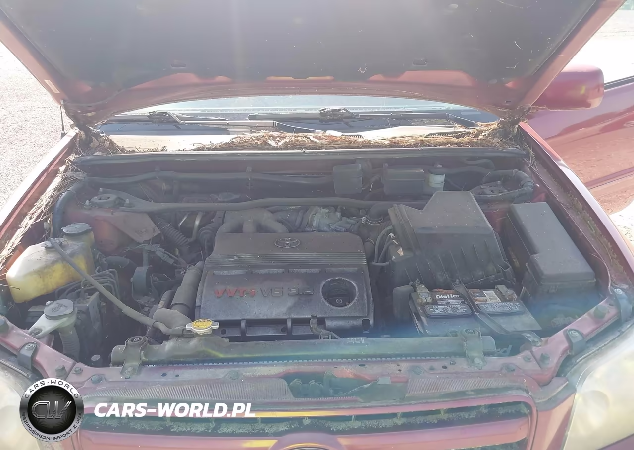 2004 Toyota Highlander V6 VIN:JTEGP21A640029968 - 10