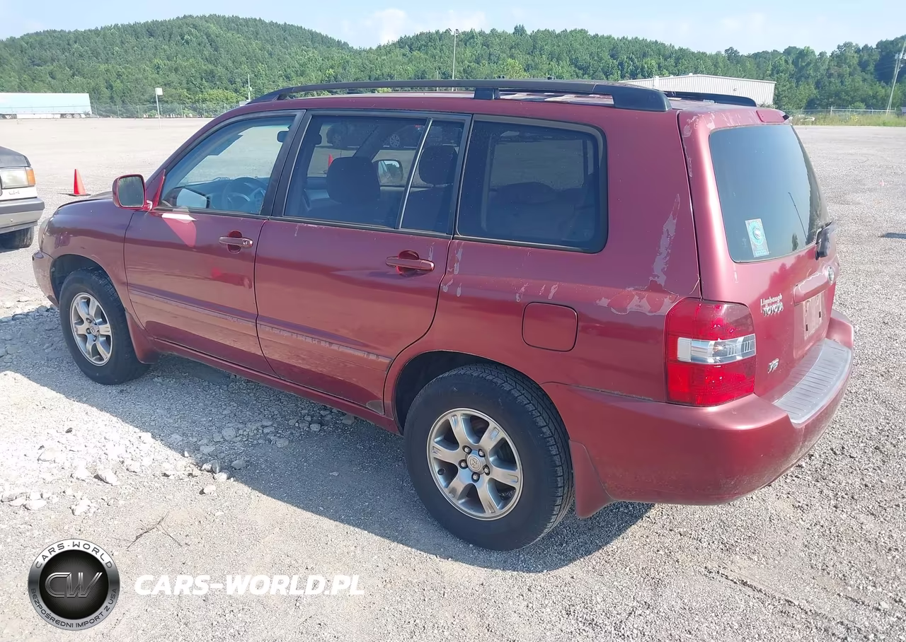 2004 Toyota Highlander V6 VIN:JTEGP21A640029968 - 3