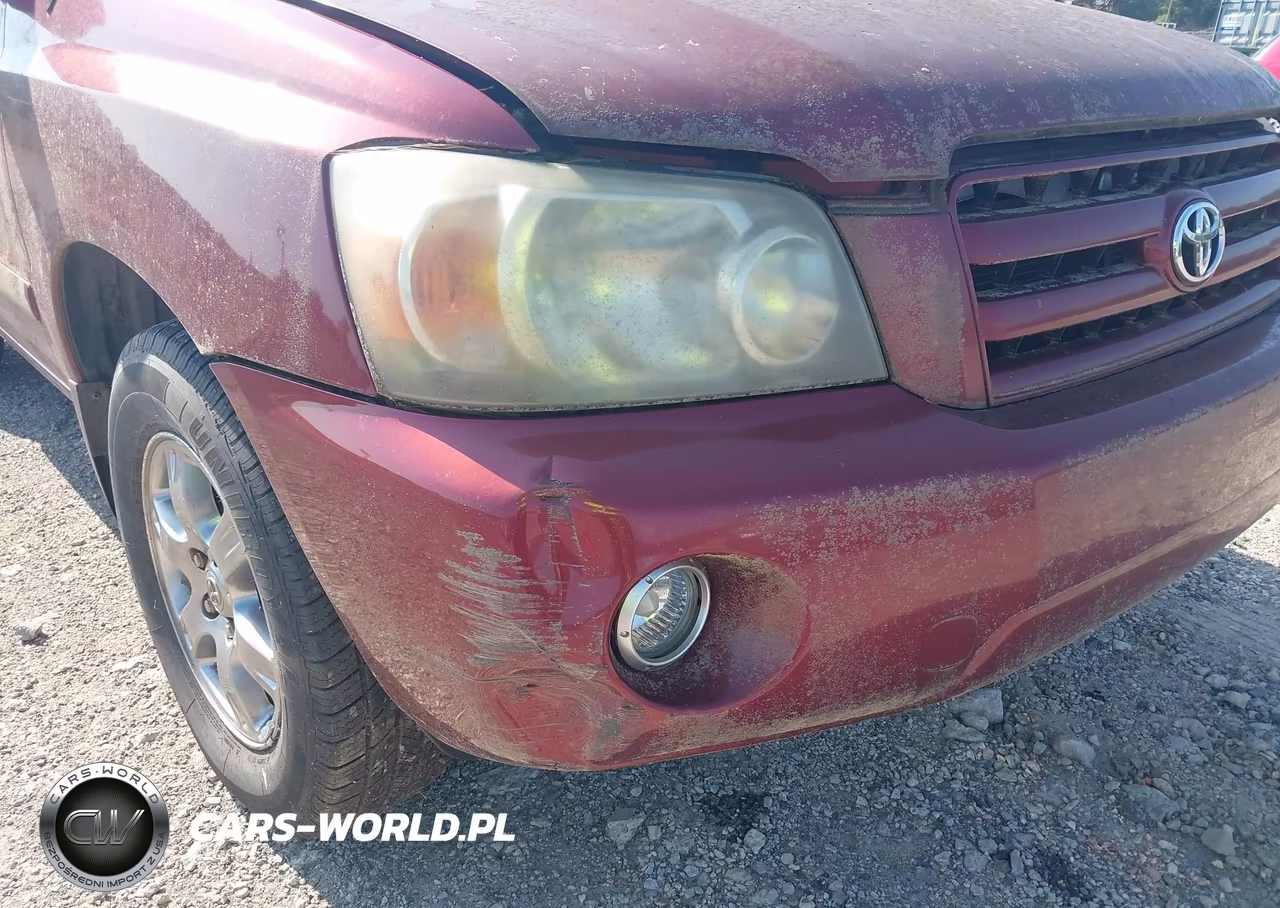 2004 Toyota Highlander V6 VIN:JTEGP21A640029968 - 6