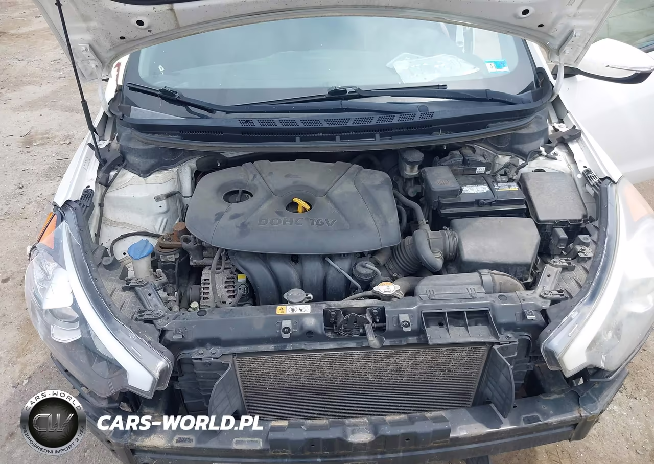 2016 Kia Forte Lx VIN:KNAFX4A65G5603309 - 10