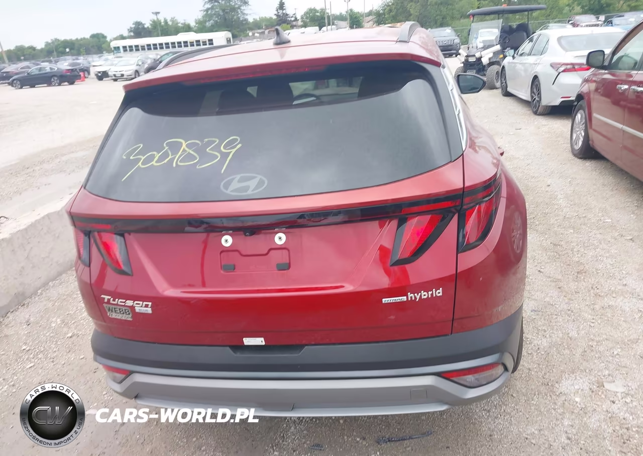 2025 Hyundai Tucson Hybrid Blue VIN:KM8JBDD17SU316303 - 16