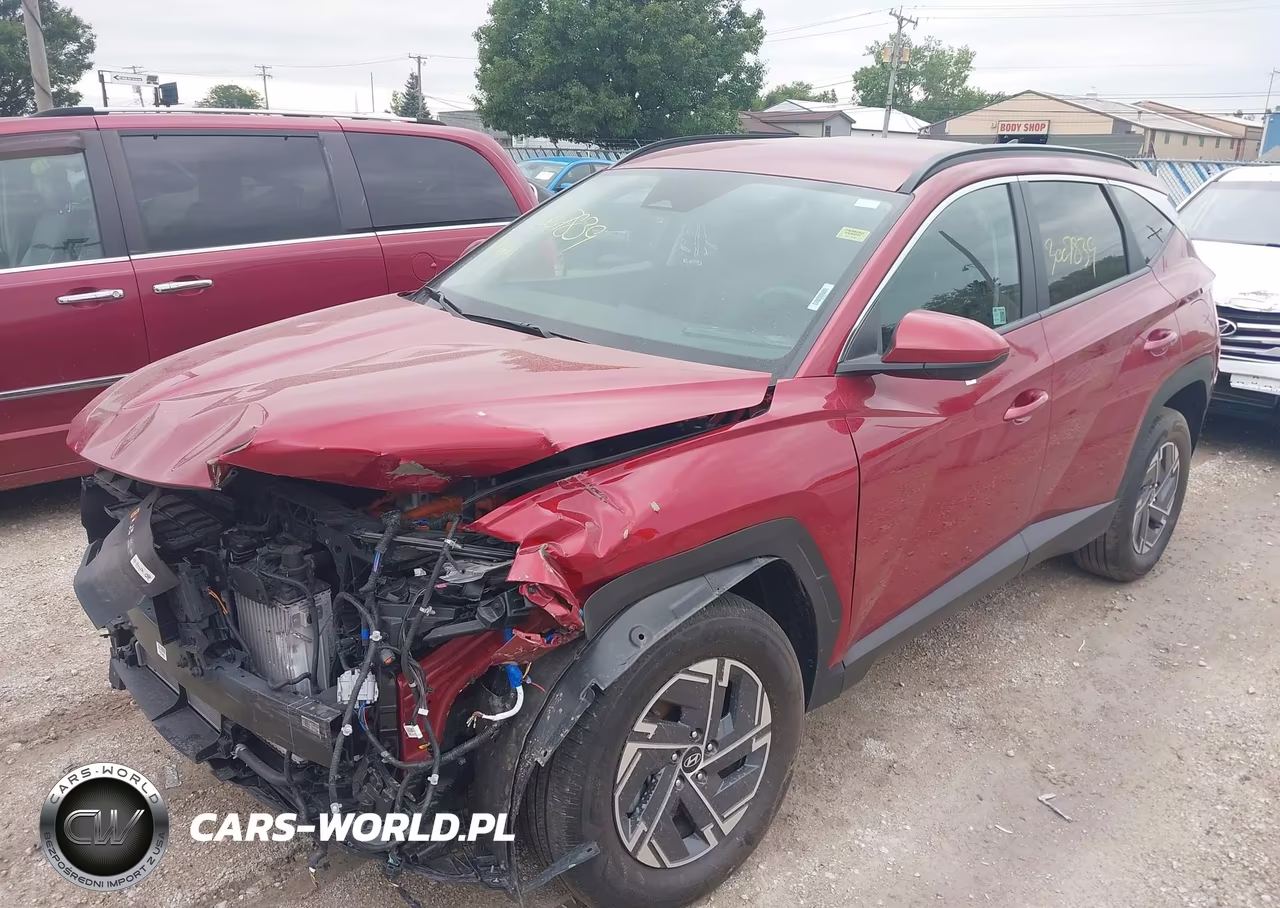 2025 Hyundai Tucson Hybrid Blue VIN:KM8JBDD17SU316303 - 2