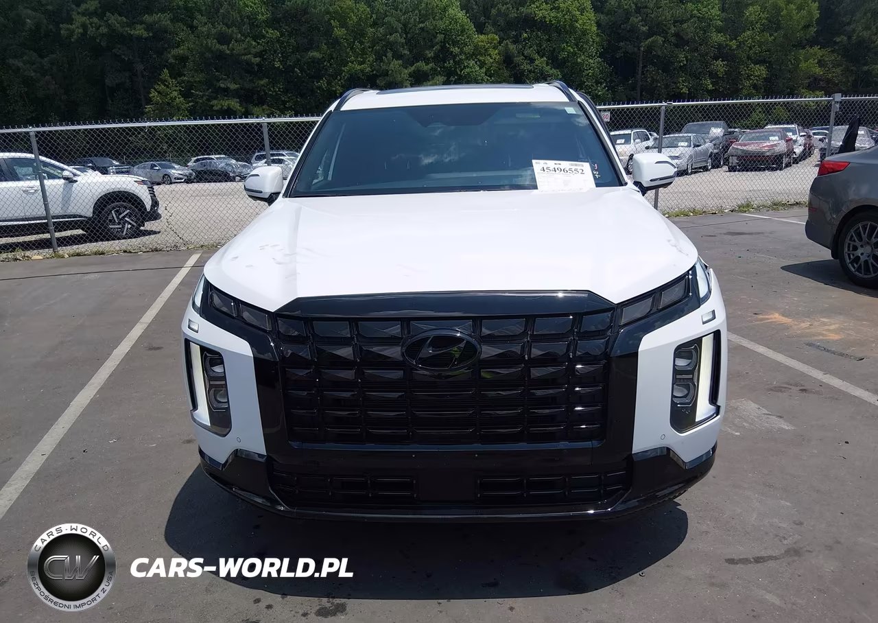 2025 Hyundai Palisade Calligraphy Night Edition VIN:KM8R7DGE2SU907402 - 12