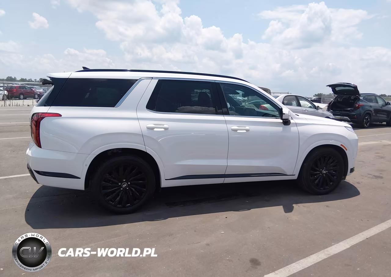 2025 Hyundai Palisade Calligraphy Night Edition VIN:KM8R7DGE2SU907402 - 13