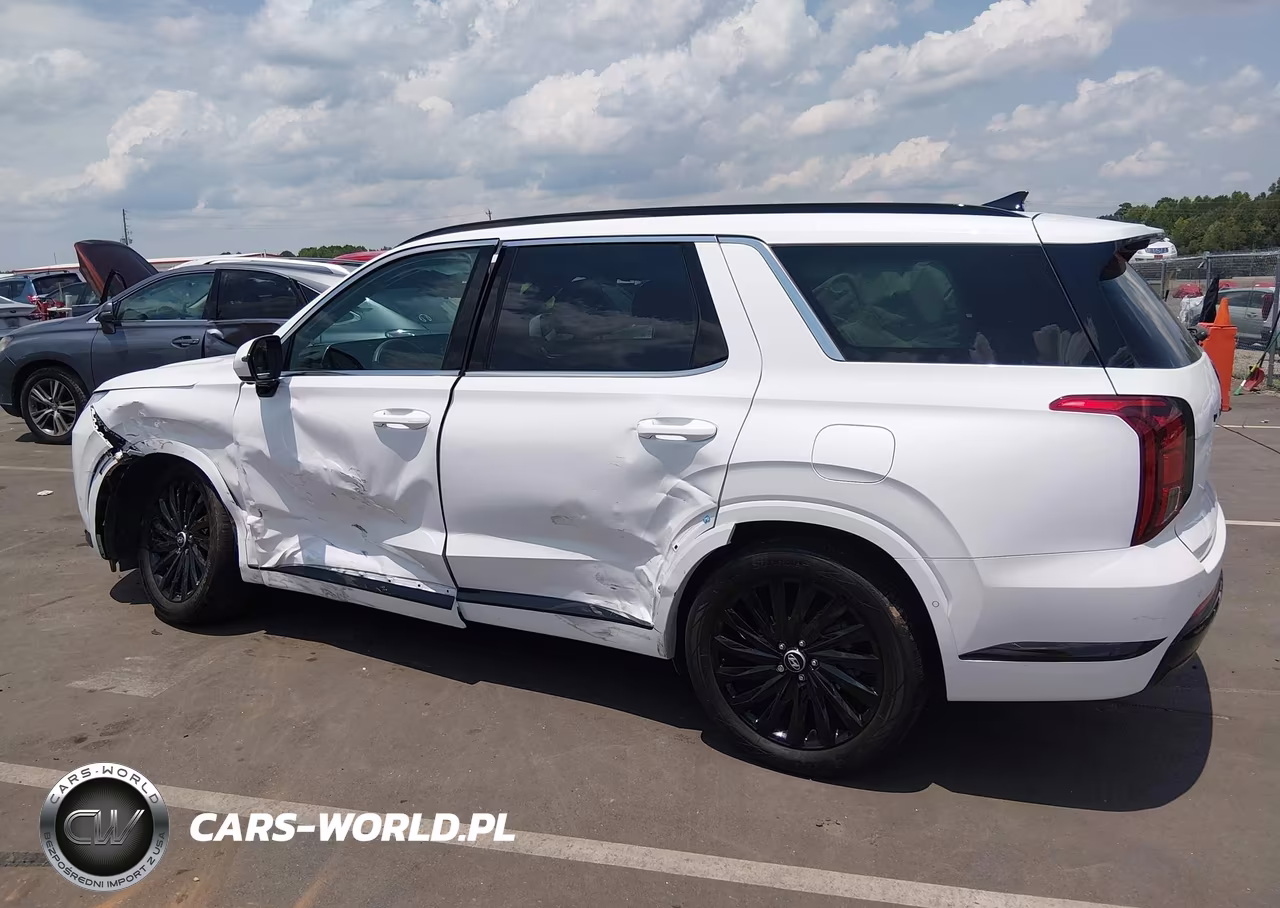 2025 Hyundai Palisade Calligraphy Night Edition VIN:KM8R7DGE2SU907402 - 14