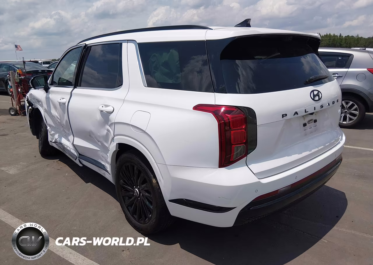 2025 Hyundai Palisade Calligraphy Night Edition VIN:KM8R7DGE2SU907402 - 3