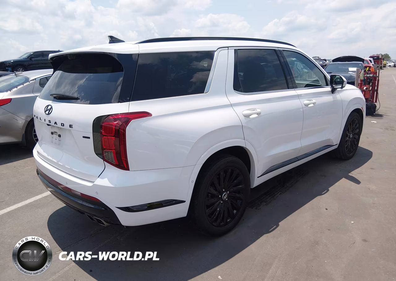 2025 Hyundai Palisade Calligraphy Night Edition VIN:KM8R7DGE2SU907402 - 4
