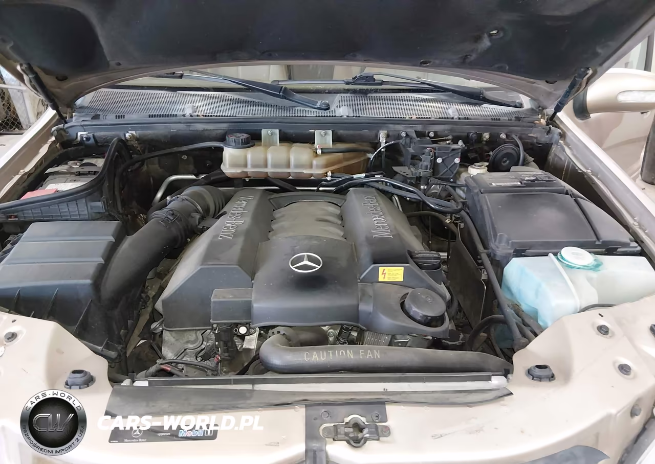 2003 Mercedes-Benz Ml 500 VIN:4JGAB75E83A376595 - 10