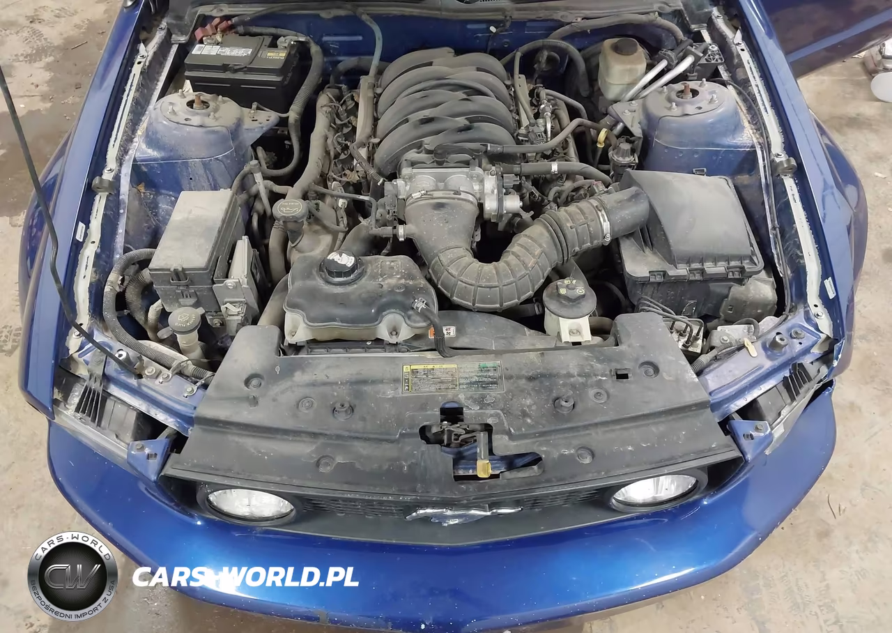 2005 Ford Mustang Gt VIN:1ZVHT85H355193338 - 10
