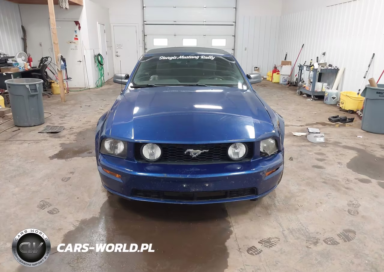 2005 Ford Mustang Gt VIN:1ZVHT85H355193338 - 12