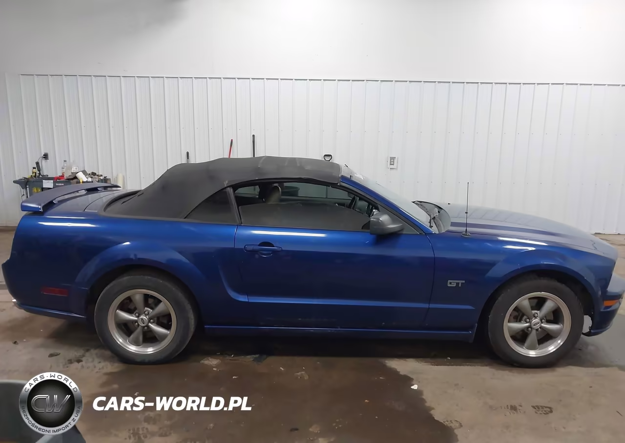 2005 Ford Mustang Gt VIN:1ZVHT85H355193338 - 13