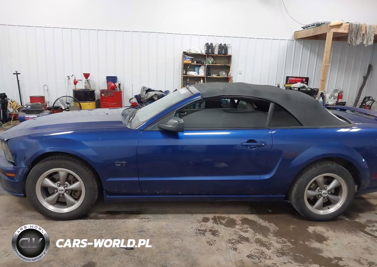2005 Ford Mustang Gt VIN:1ZVHT85H355193338 - 14