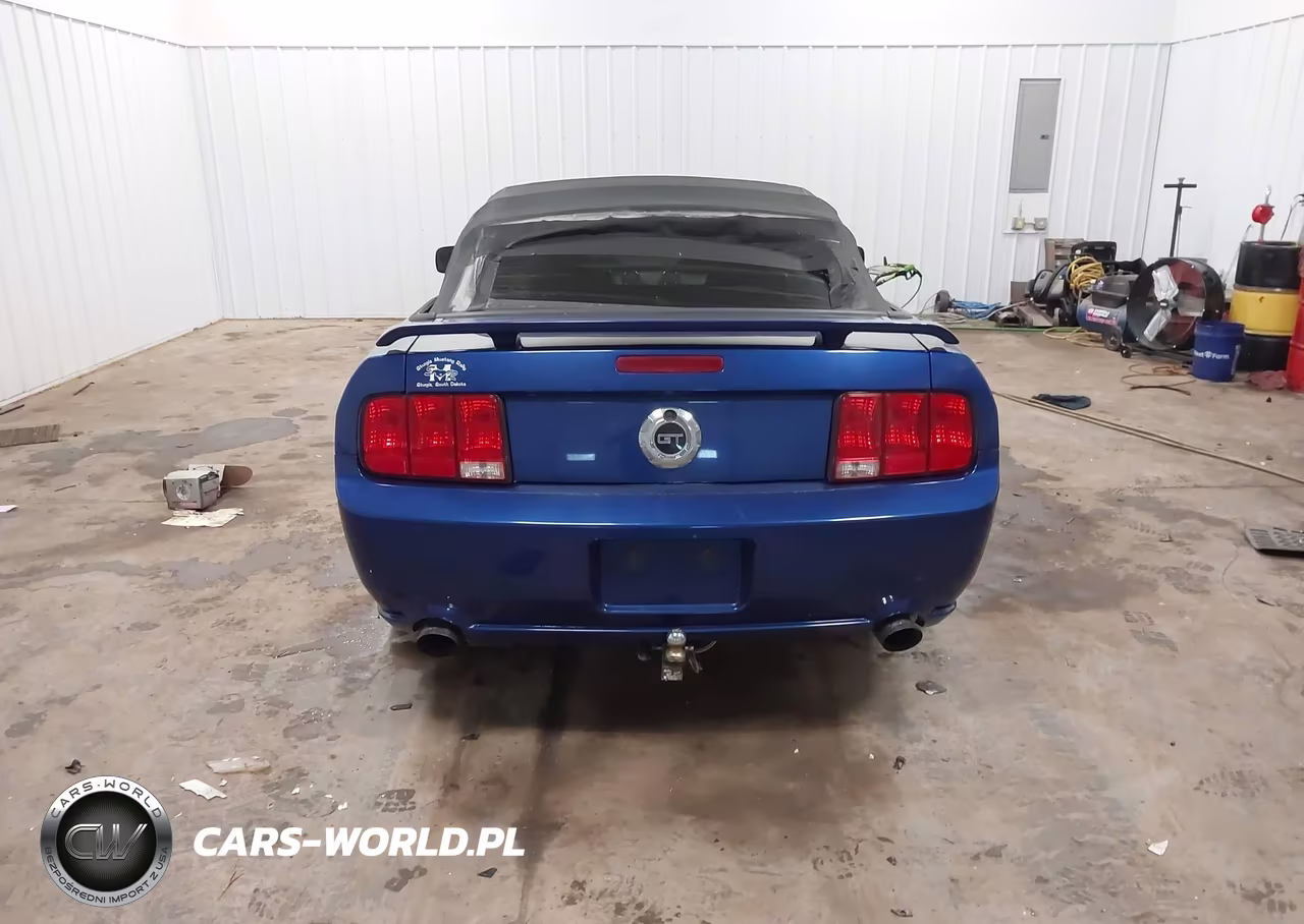 2005 Ford Mustang Gt VIN:1ZVHT85H355193338 - 16