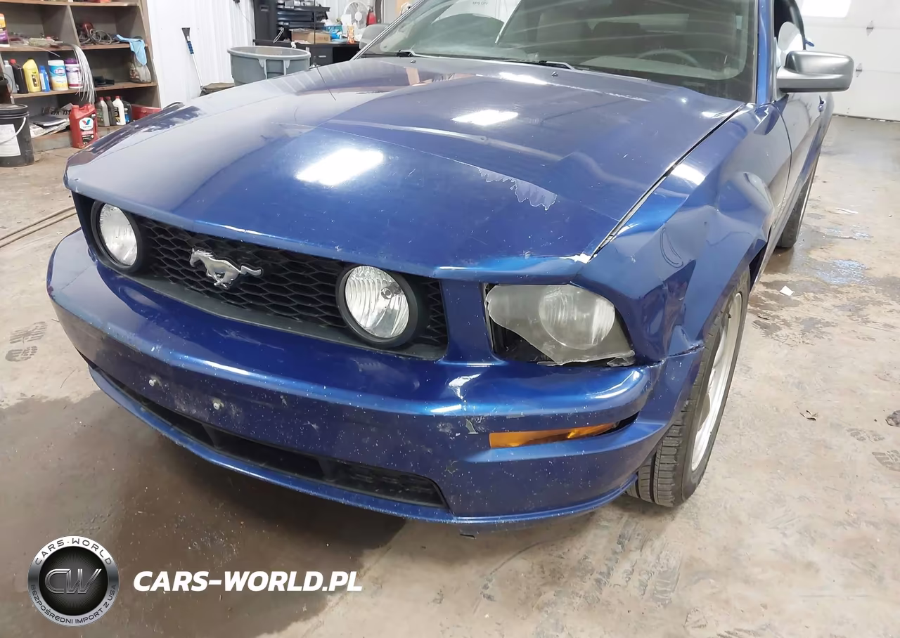 2005 Ford Mustang Gt VIN:1ZVHT85H355193338 - 17