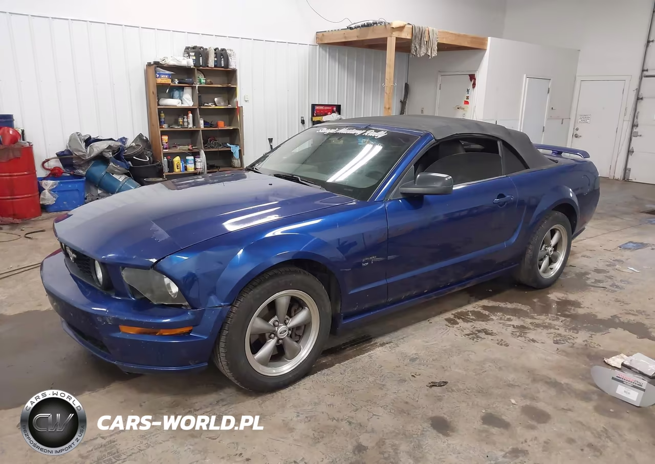 2005 Ford Mustang Gt VIN:1ZVHT85H355193338 - 2