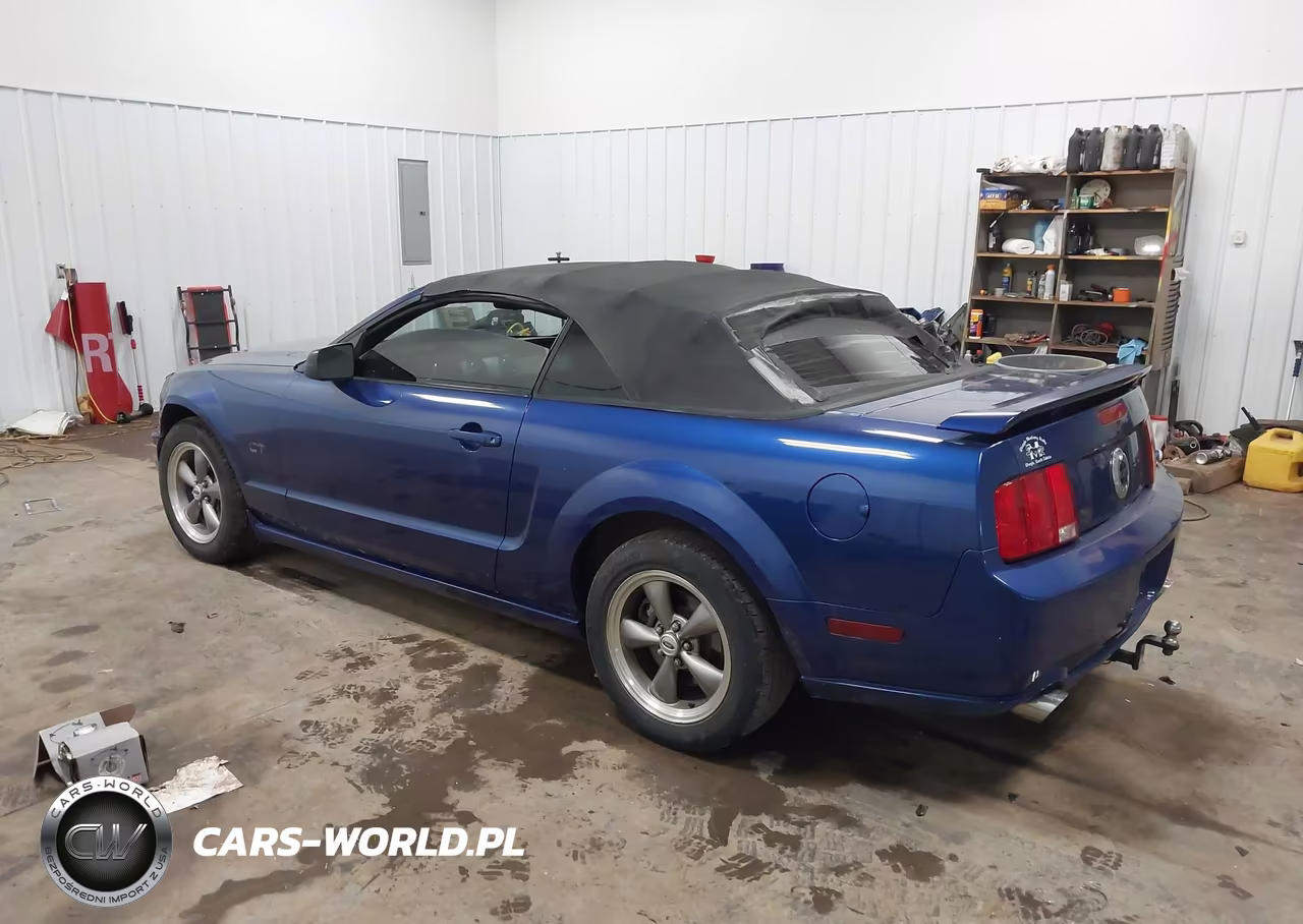 2005 Ford Mustang Gt VIN:1ZVHT85H355193338 - 3