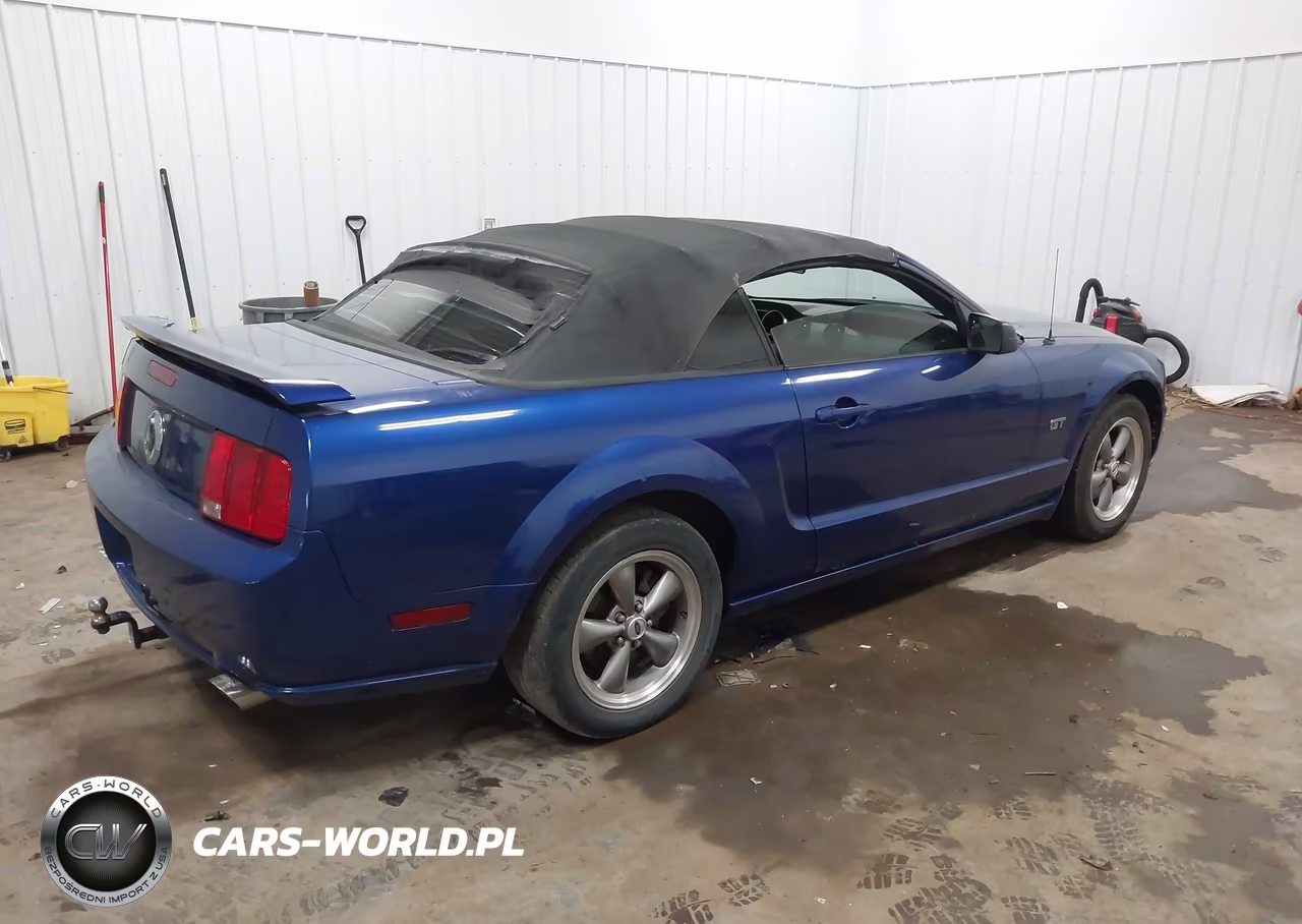 2005 Ford Mustang Gt VIN:1ZVHT85H355193338 - 4