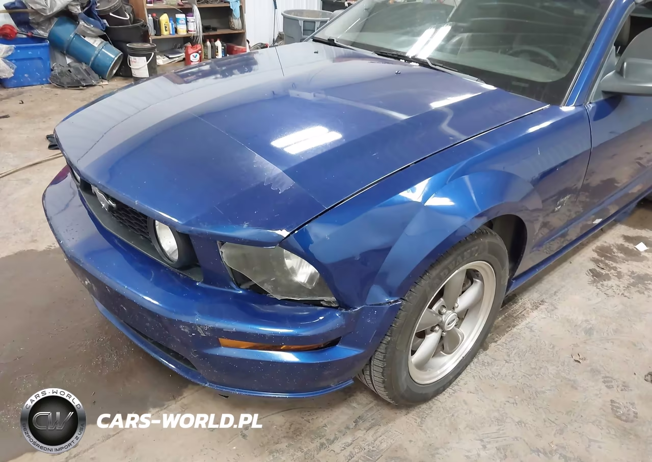 2005 Ford Mustang Gt VIN:1ZVHT85H355193338 - 6