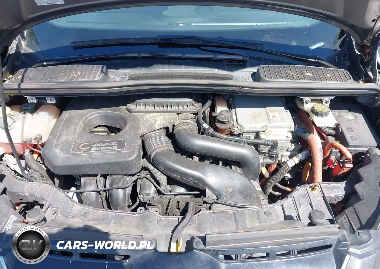 2013 Ford C-Max Energi Sel VIN:1FADP5CU9DL522869 - 10