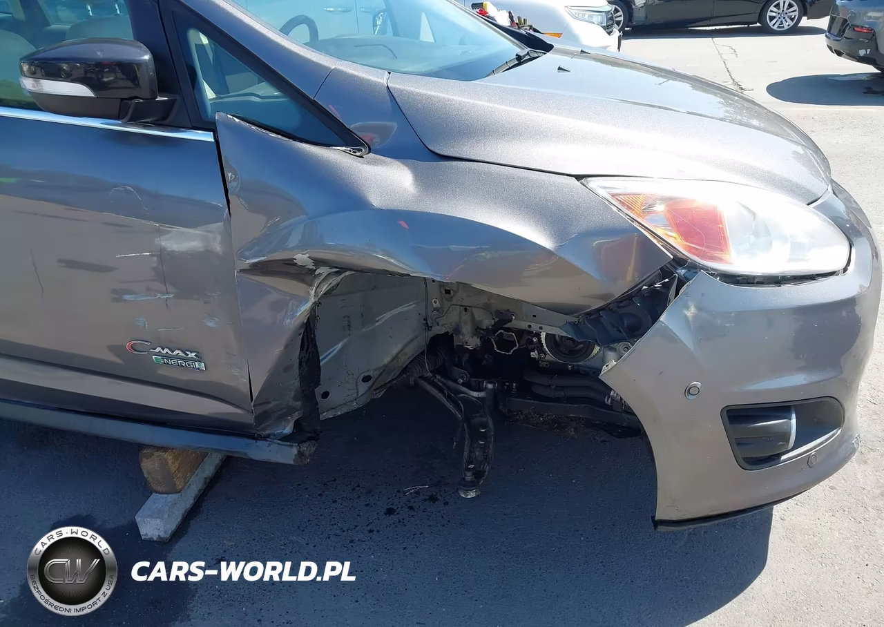 2013 Ford C-Max Energi Sel VIN:1FADP5CU9DL522869 - 6