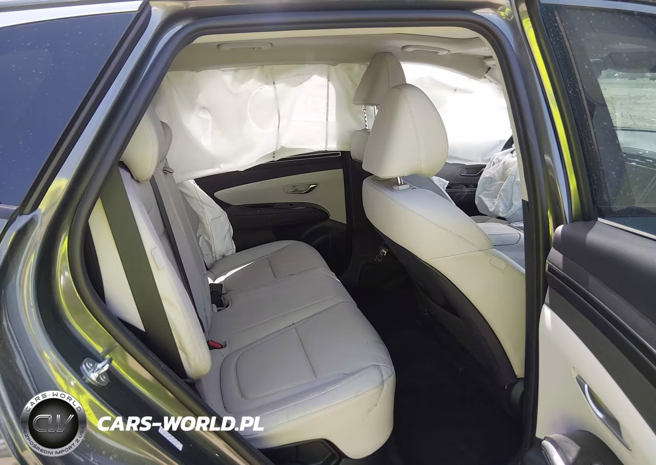 2024 Hyundai Tucson Hybrid Limited VIN:KM8JECD15RU223971 - 8