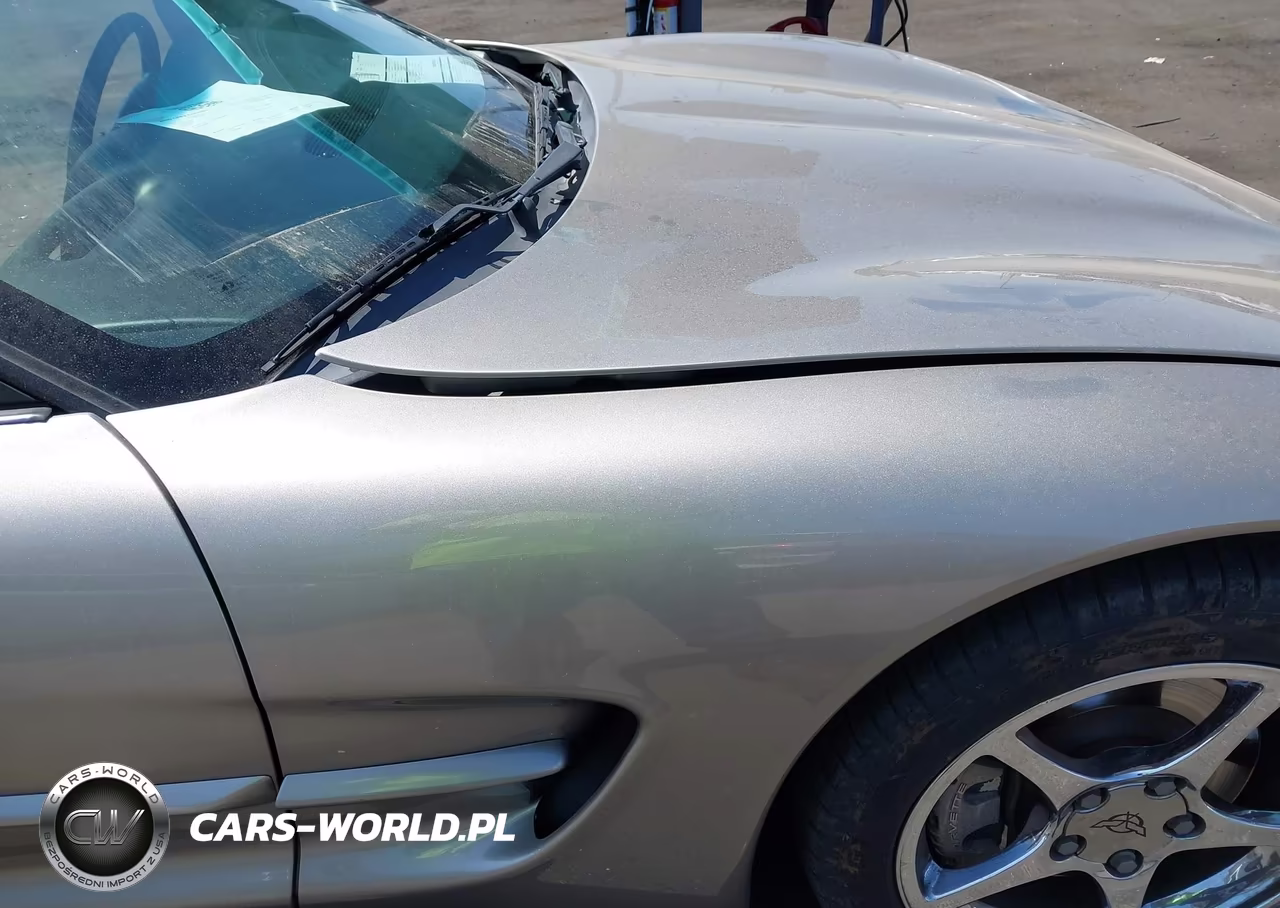 2000 Chevrolet Corvette VIN:1G1YY22G1Y5106241 - 13
