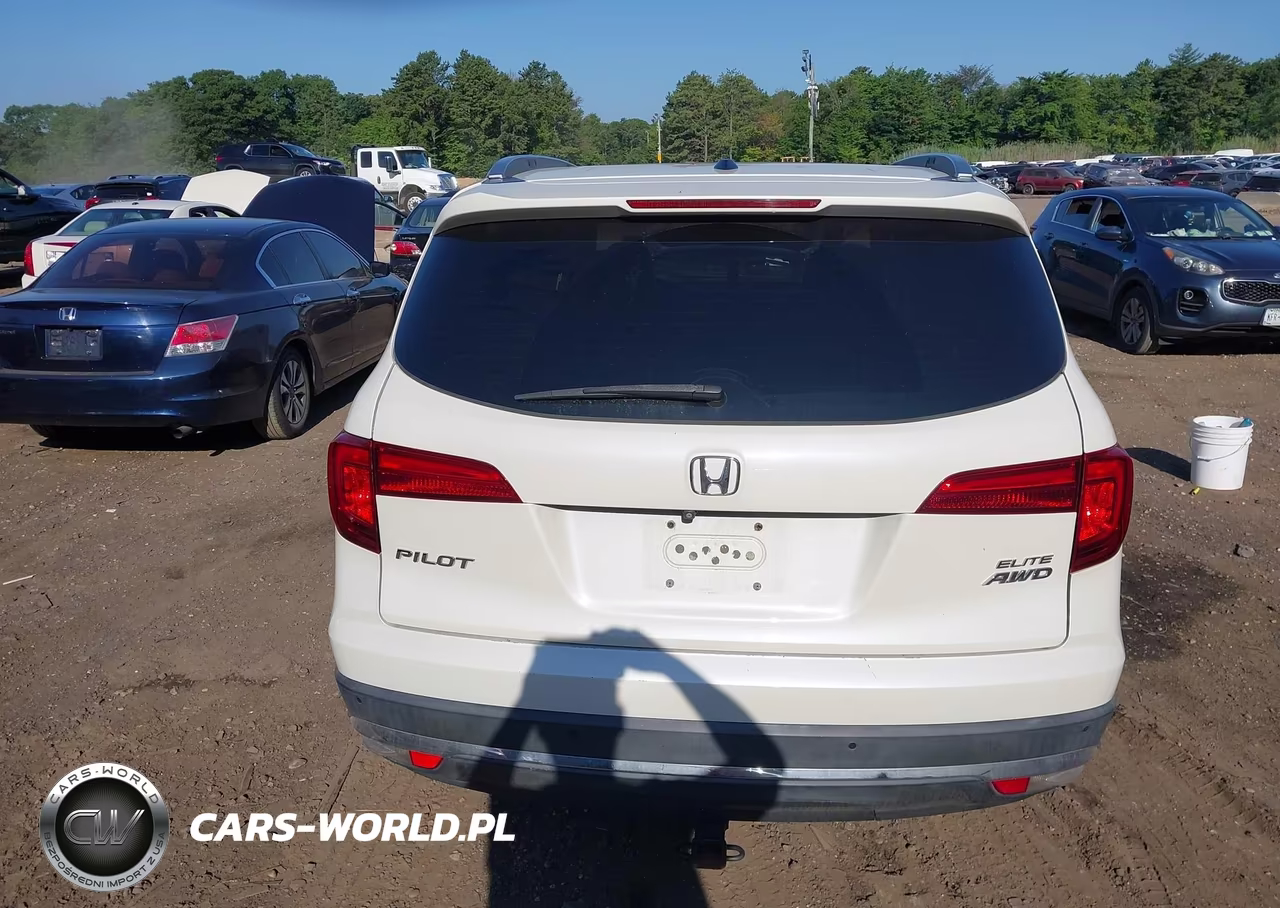 2016 Honda Pilot Elite VIN:5FNYF6H04GB038318 - 16