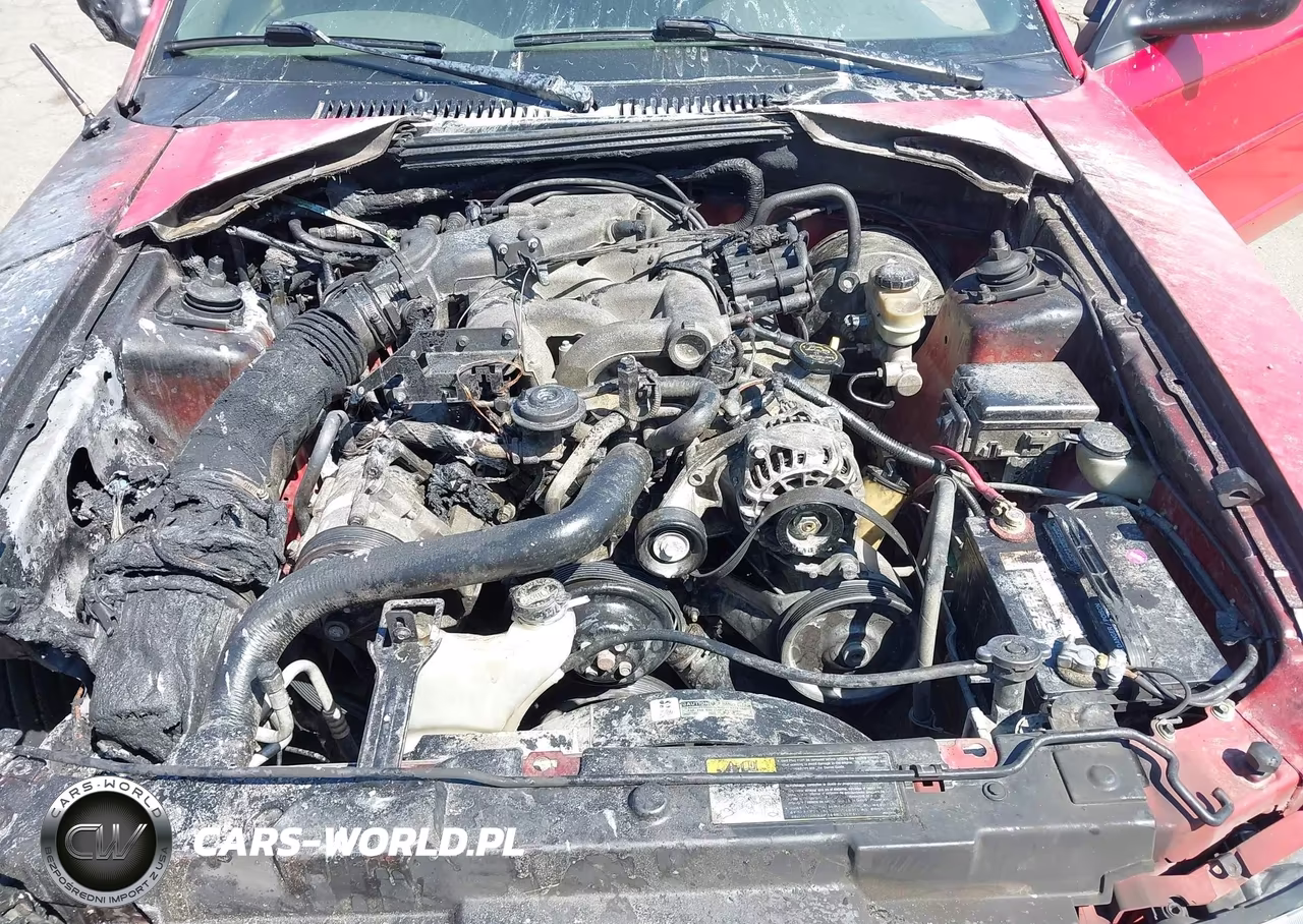 2004 Ford Mustang VIN:1FAFP44654F206998 - 10