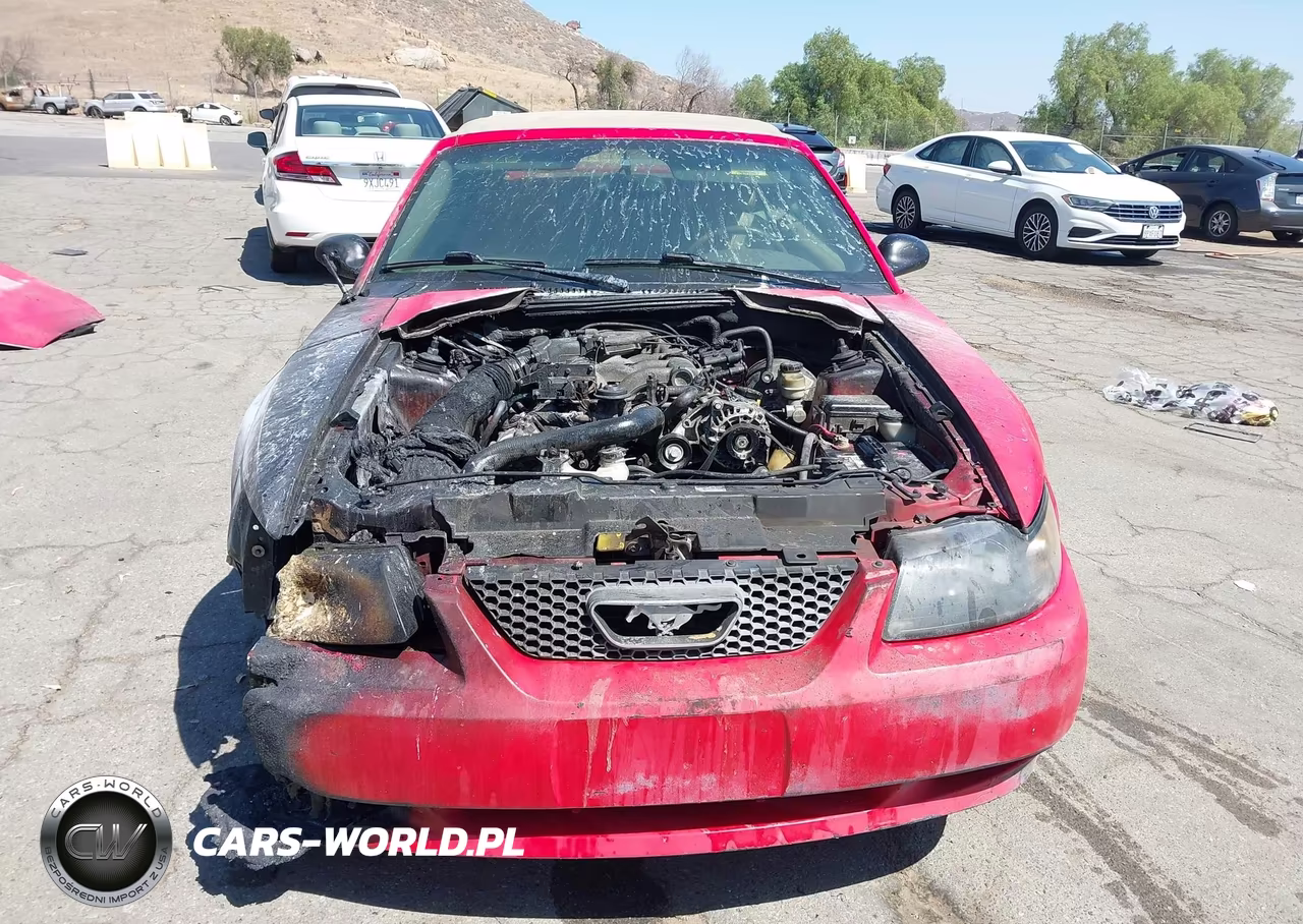 2004 Ford Mustang VIN:1FAFP44654F206998 - 12
