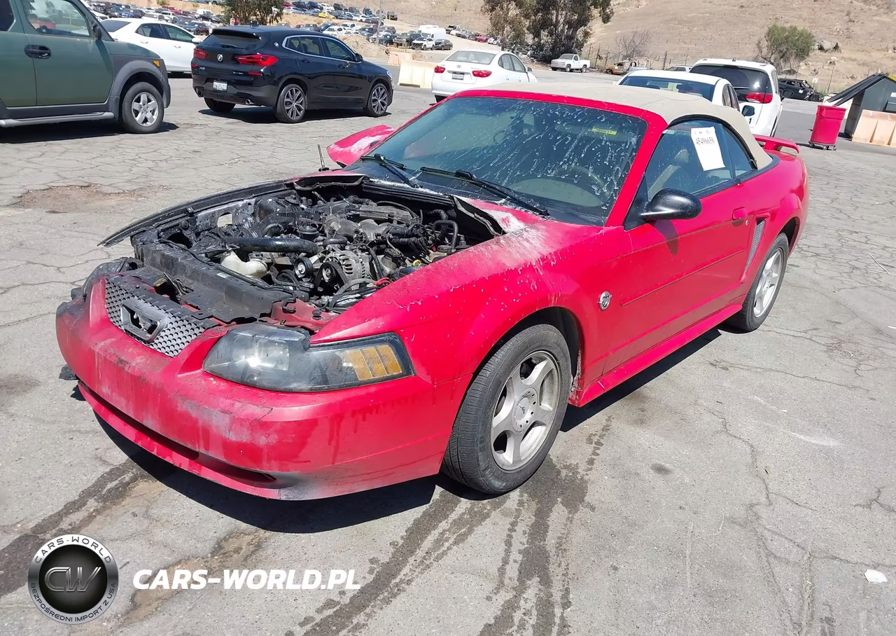 2004 Ford Mustang VIN:1FAFP44654F206998 - 2