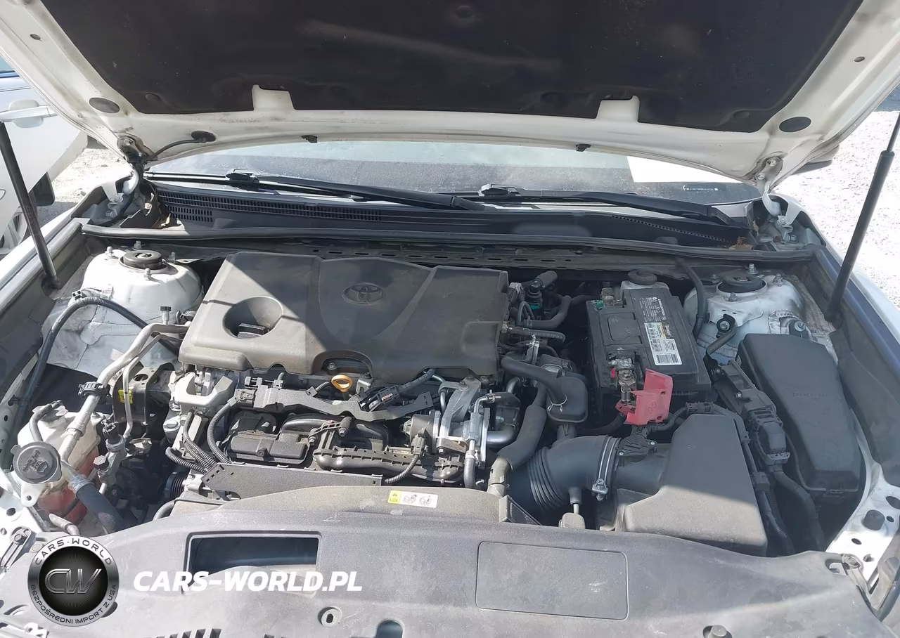 2019 Toyota Camry Se VIN:4T1B11HK9KU233755 - 10