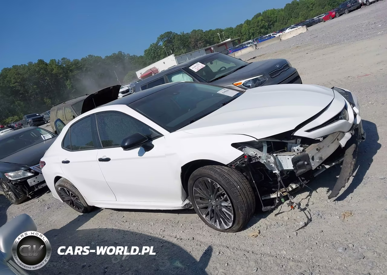 2019 Toyota Camry Se VIN:4T1B11HK9KU233755 - 12
