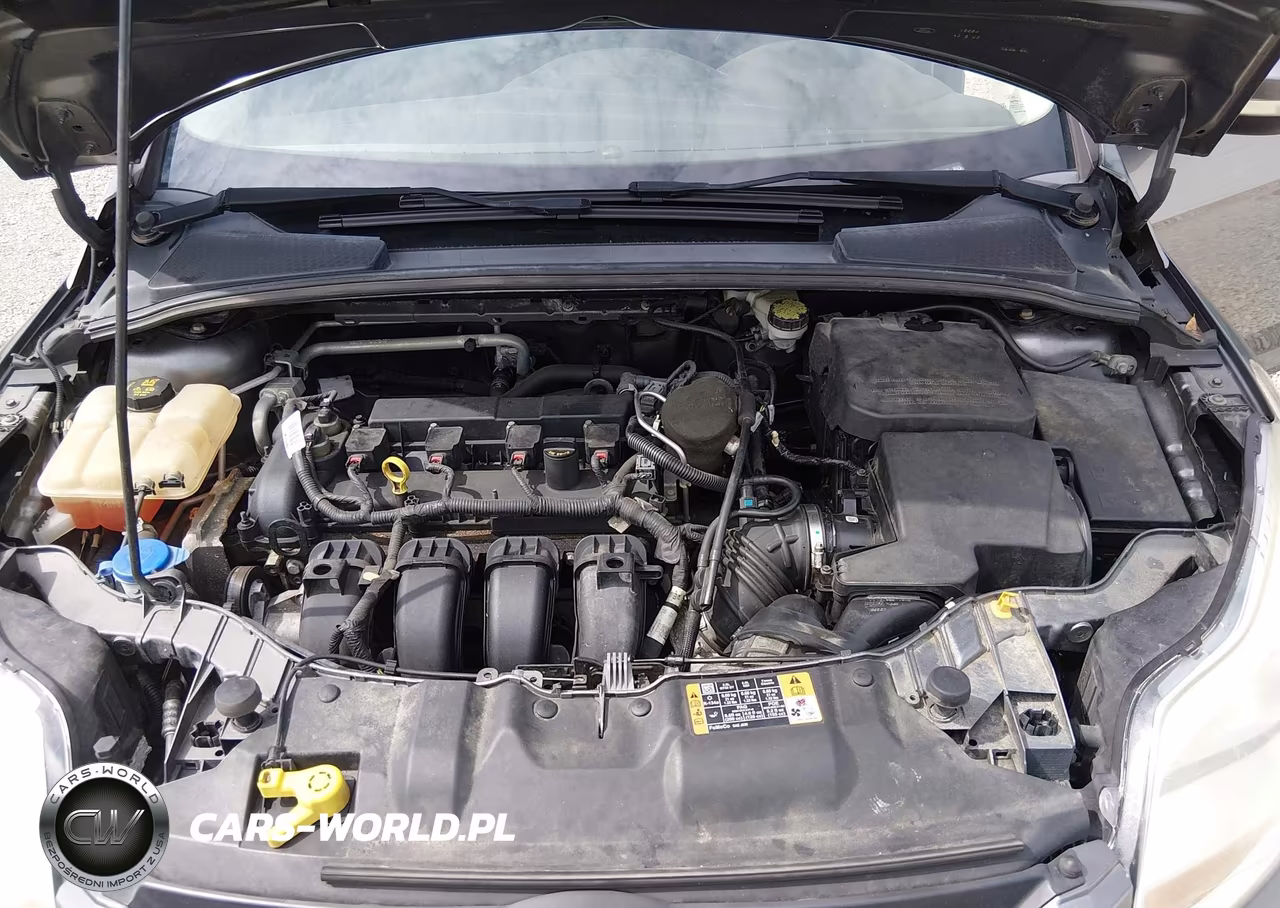 2014 Ford Focus Se VIN:1FADP3K24EL429019 - 10