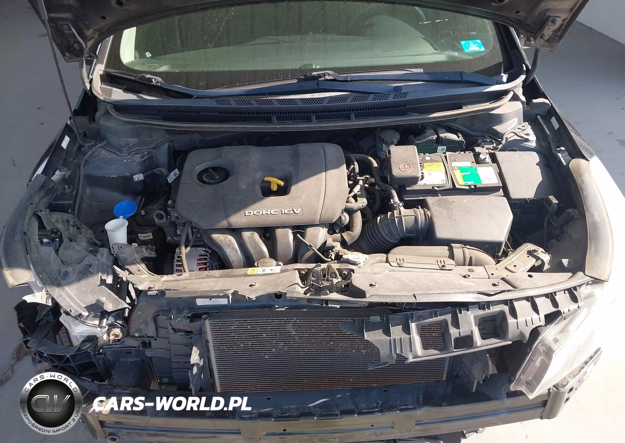 2017 Kia Forte Lx VIN:3KPFK4A78HE066127 - 10