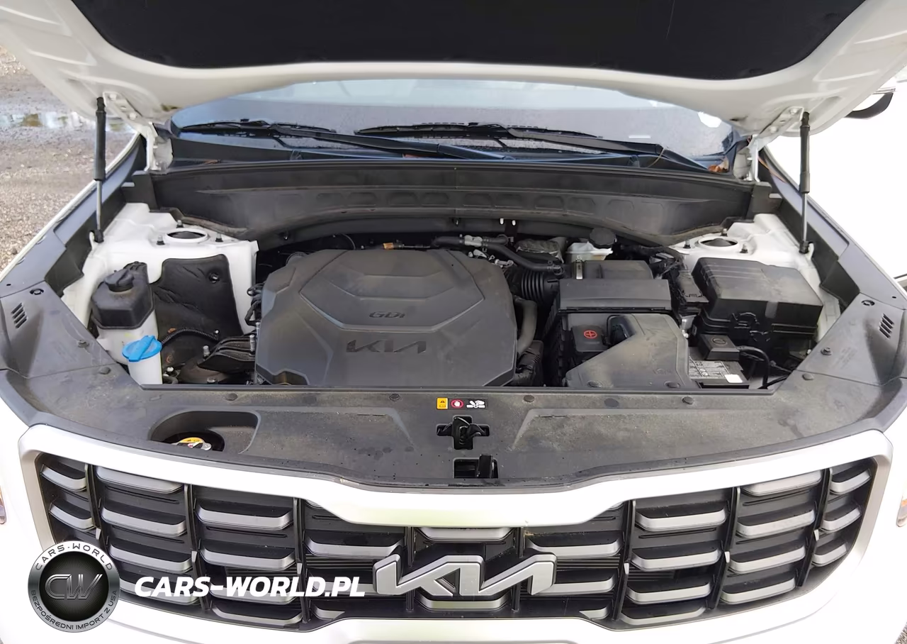 2024 Kia Telluride S VIN:5XYP6DGC9RG506373 - 10