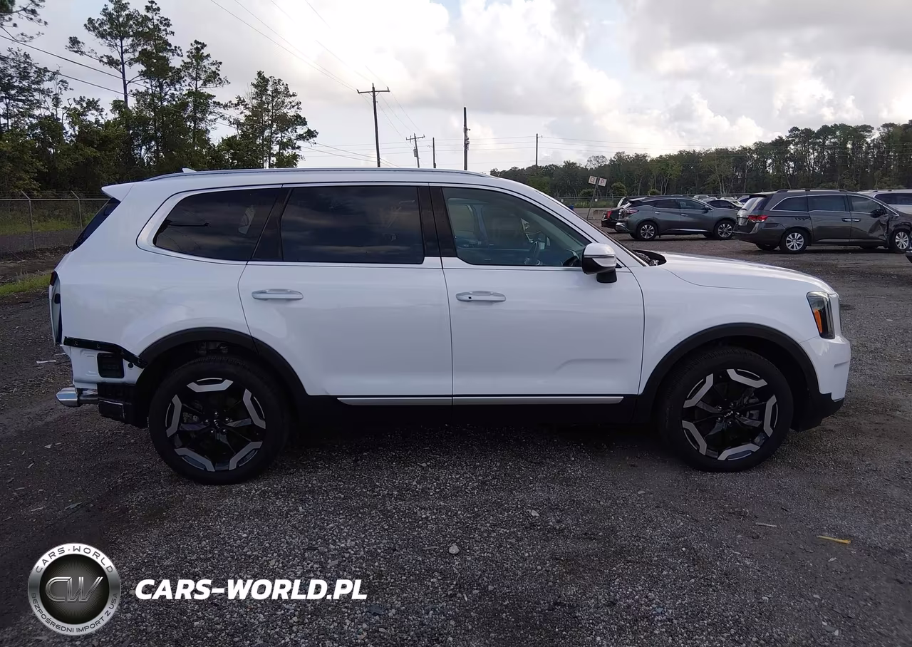 2024 Kia Telluride S VIN:5XYP6DGC9RG506373 - 13