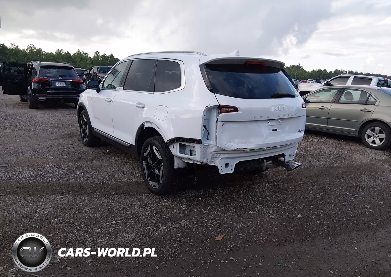2024 Kia Telluride S VIN:5XYP6DGC9RG506373 - 3