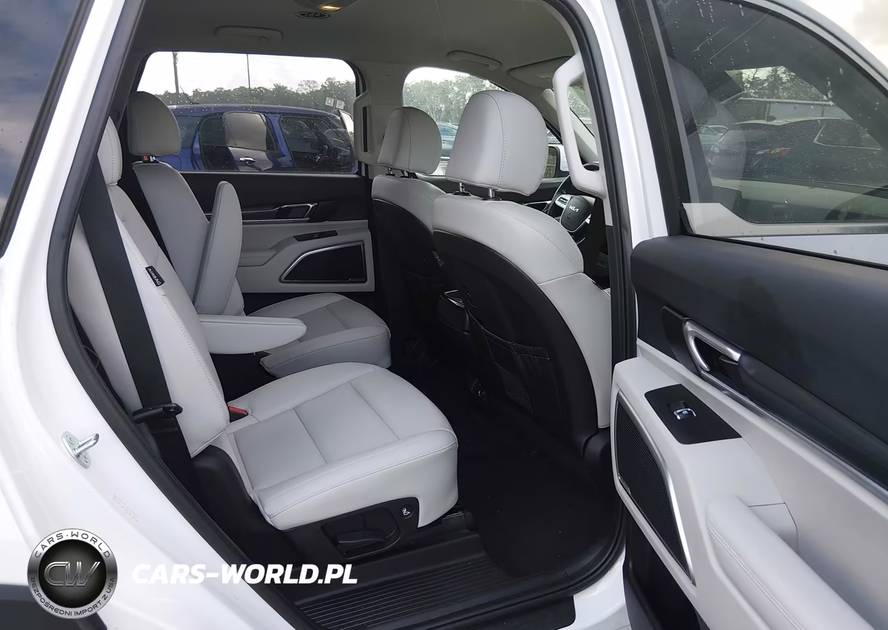 2024 Kia Telluride S VIN:5XYP6DGC9RG506373 - 8