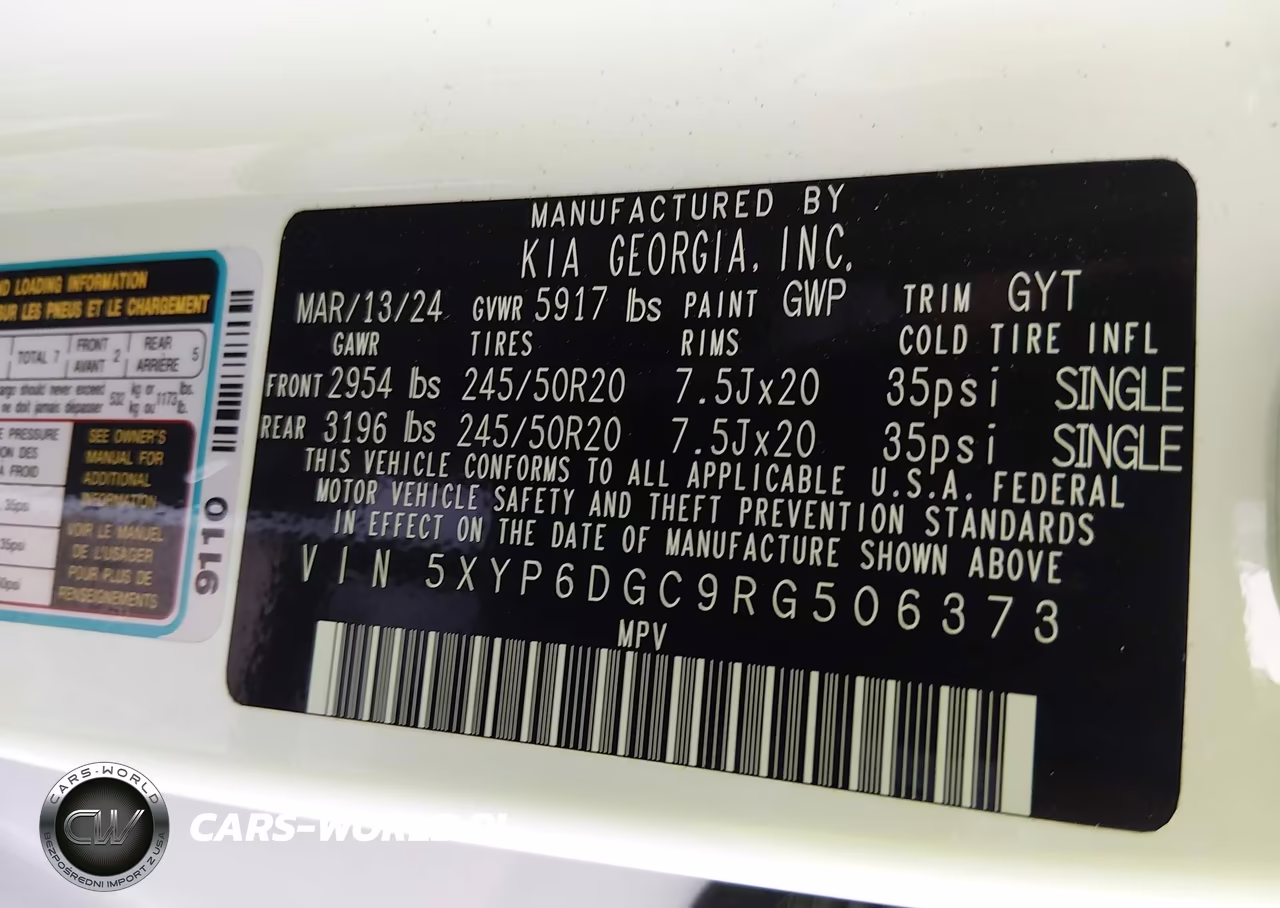 2024 Kia Telluride S VIN:5XYP6DGC9RG506373 - 9