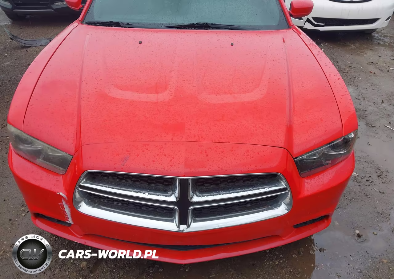 2014 Dodge Charger R-T Plus VIN:2C3CDXCT3EH342954 - 17
